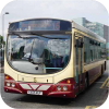 Leicester buses in special liveries